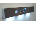 Horizontal Car Operating Panel - VARIANT FIVE - With No End Caps And No Handrail - With LED Lighting Detail Page